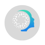 The Data Company